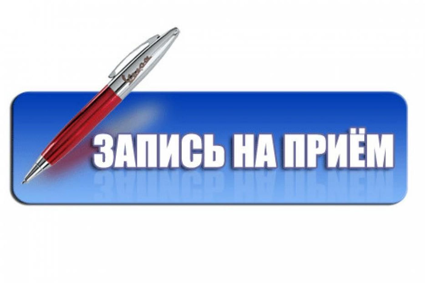 Запись на личный прием к Главе Новопушкинского МО.