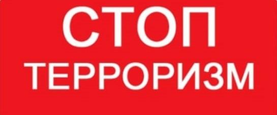 Понятие терроризма и основные принципы его противодействию..